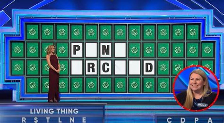 'She totally said PINK ORCHID right at the start': Fans left confused as a Wheel of Fortune contestant loses despite a seemingly correct answer