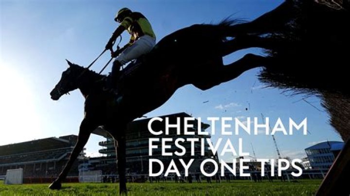 'The faster they go the better he'll run' - Paul Nicholls tips his best chance on Cheltenham Festival day one