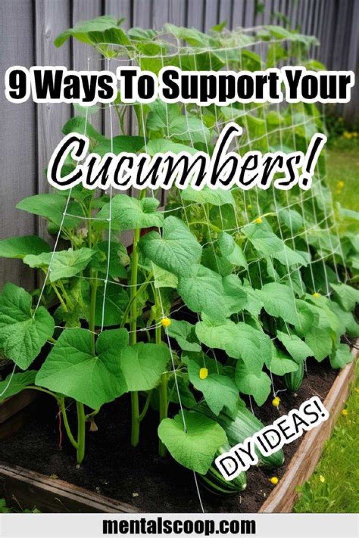10 Brilliant Uses For Cucumbers