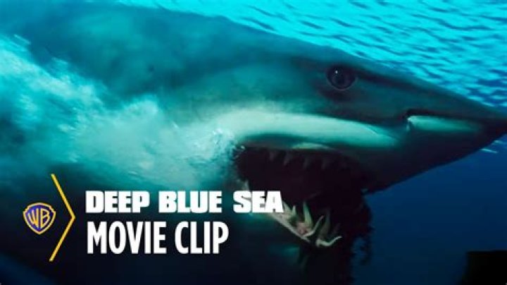 10 Movies Like Deep Blue Sea You Must See