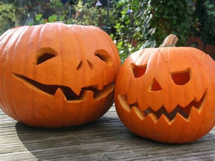 10 wildly inappropriate Halloween pumpkin carvings… including a STRIPPER and a cannabis leaf – The Sun