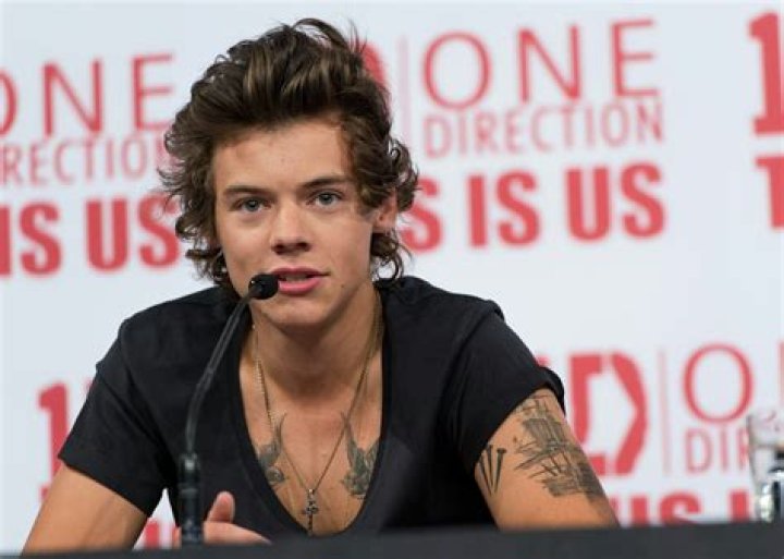 12 Reasons 2013 Harry Styles Needs To Return, Because 2013 Harry Was Peak Harry