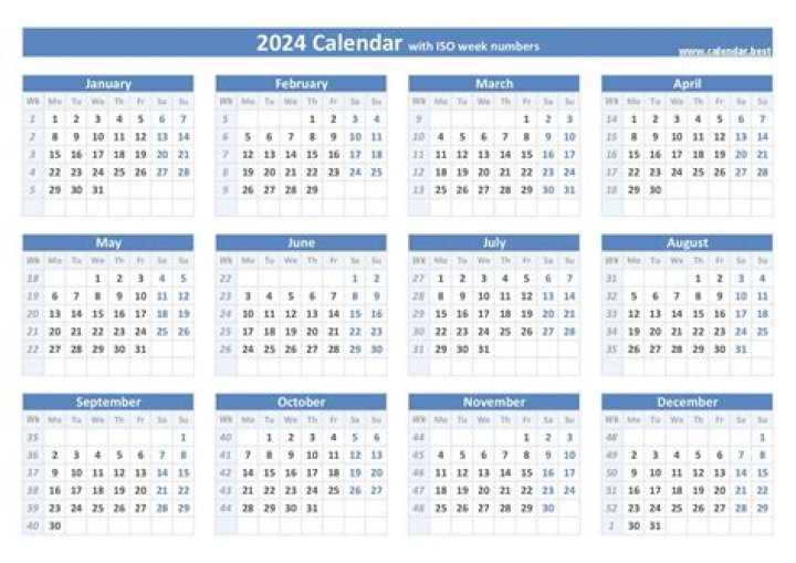 ماهي المادة 13 في النظام العسكري – تريندات 2024