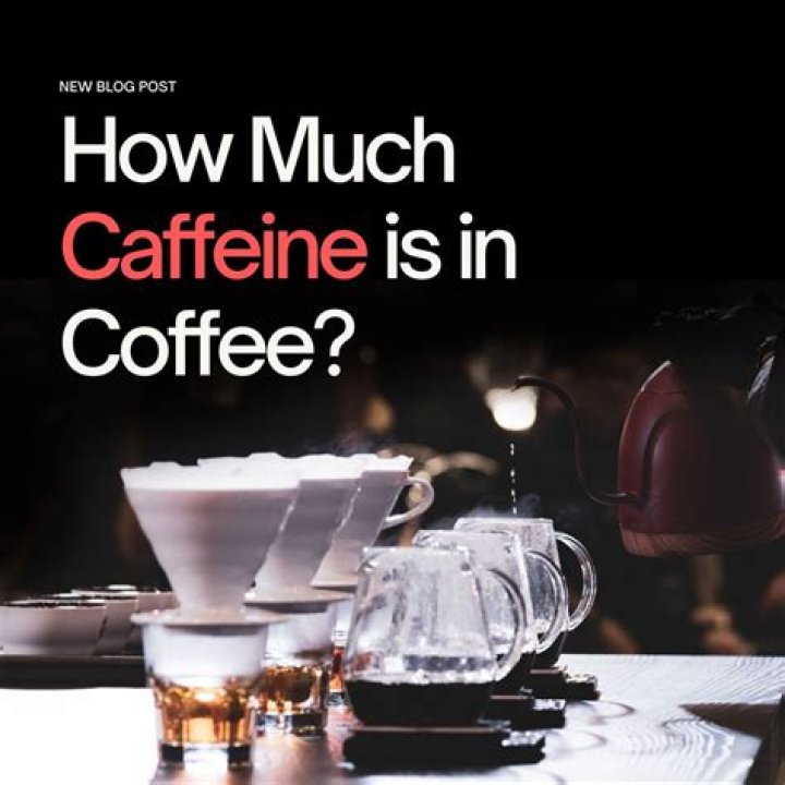 15 Quotes About Coffee All Caffeine Addicts Will Relate To