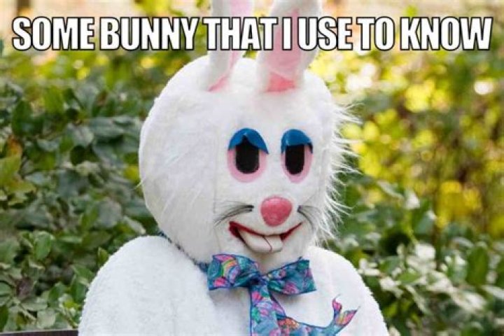 17 funny Easter Bunny Memes to make you laugh this holiday