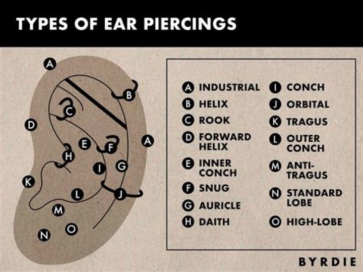 17 Types of Ear Piercings