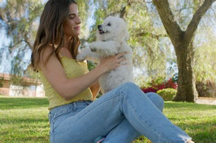 19 Dog-Friendly Public Places You May Not Know About