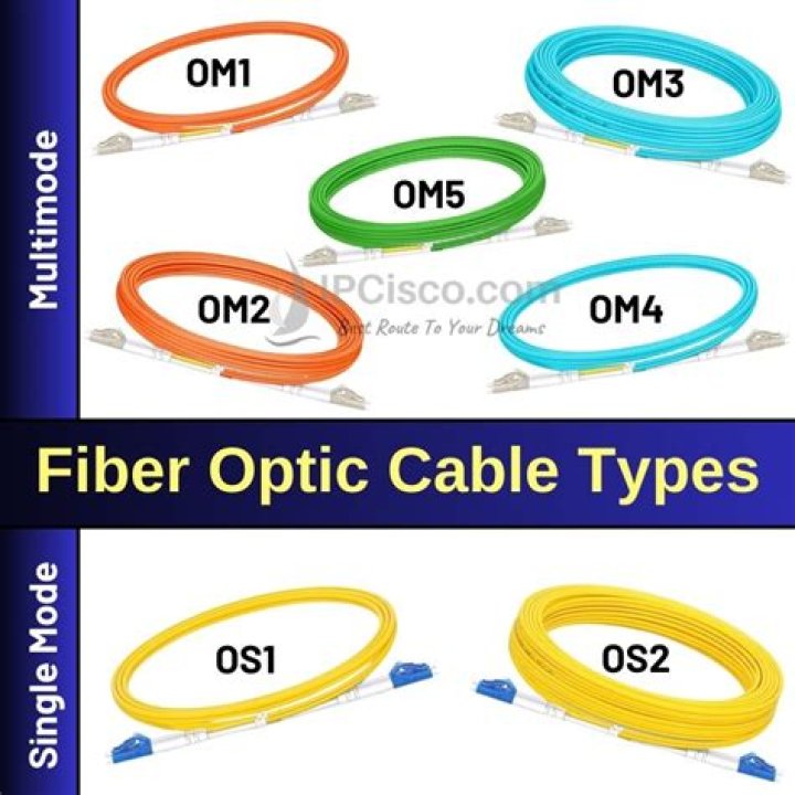 2 charged with cutting 2,000 fiber optic cables; 40,000 lose internet service