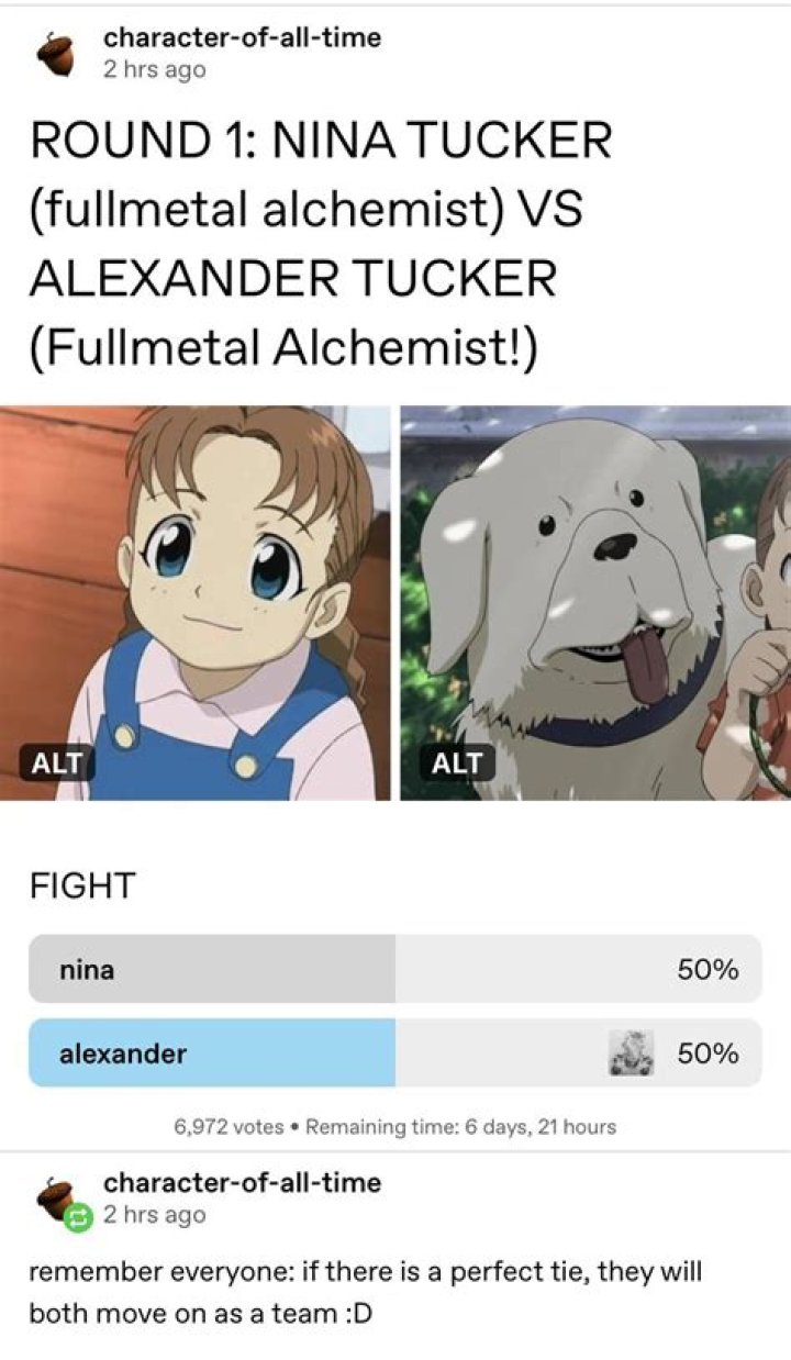 24 Hilarious Nina Tucker Memes From Full Metal Alchemist