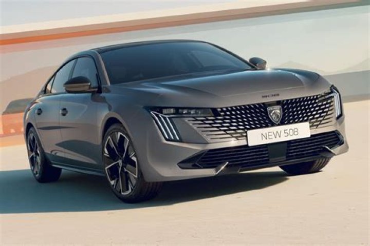 305 رمز اي قبيلة – تريندات 2024