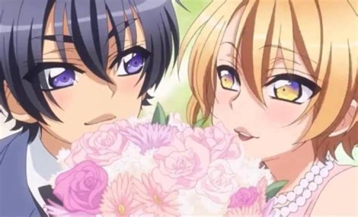 36 Most Popular Anime Couples 