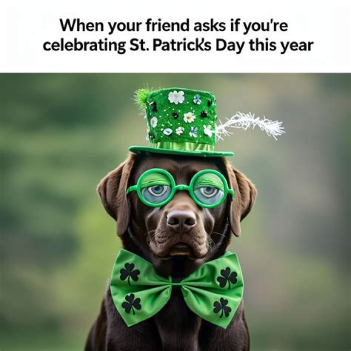 5 Funny St. Patrick’s Day 2019 Memes To Help You Celebrate