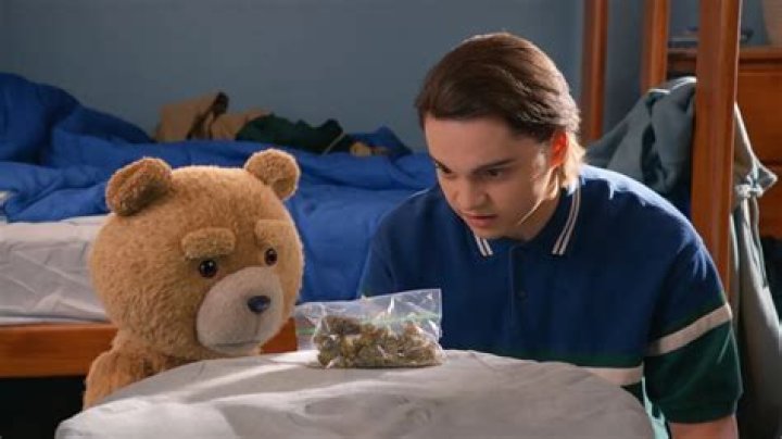 8 Shows Like 'The Bear' To Watch Before Season 2
