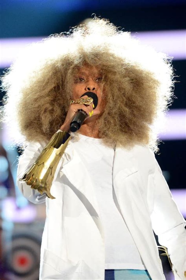 9 Times Erykah Badu Was My Hair Idol, From Her Blonde Fluffy Fro To Her Latest Bowl Cut
