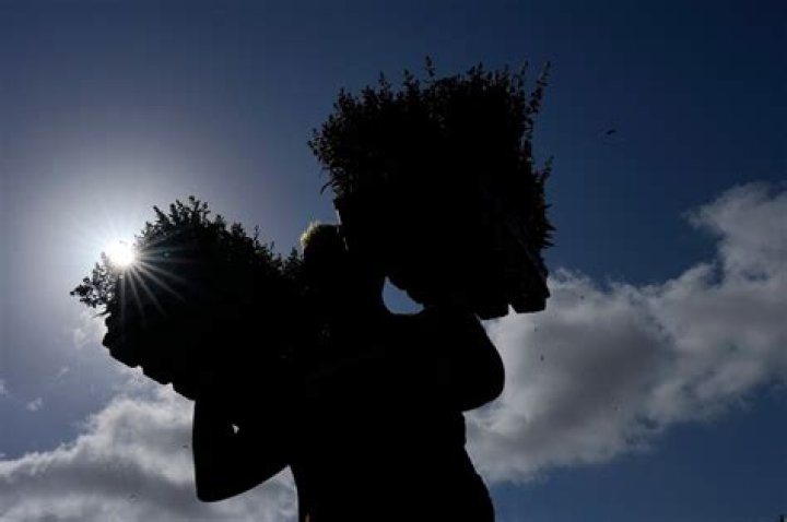 A heat wave in Texas is forecast to spread scorching temperatures to the north and east