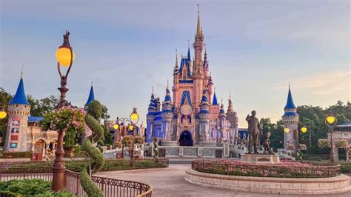 A Wild Bear Broke Into Disney World, Causing Ride Closures