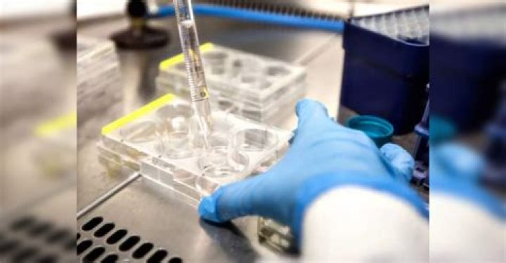 Alabama hospital puts pause on IVF in wake of ruling saying frozen embryos are children