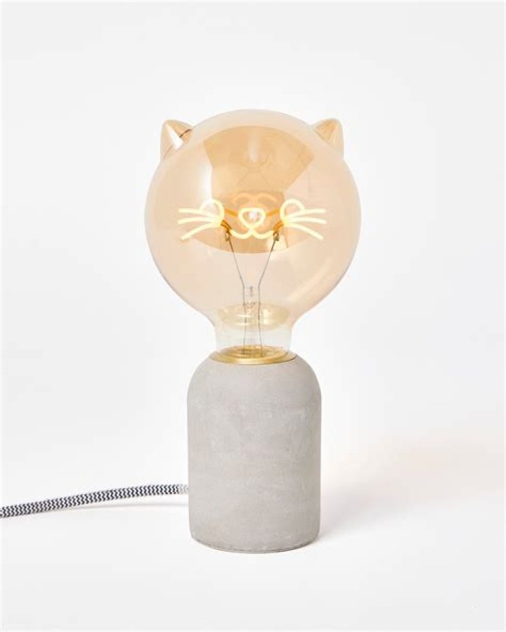 Aldi’s £24.99 concrete lamp is a double for the Oliver Bonas light… and £70 cheaper
