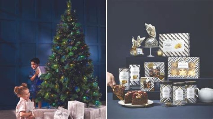 Aldi’s magical Christmas decorations range goes on sale TODAY… and prices start at £2.99 – The Sun
