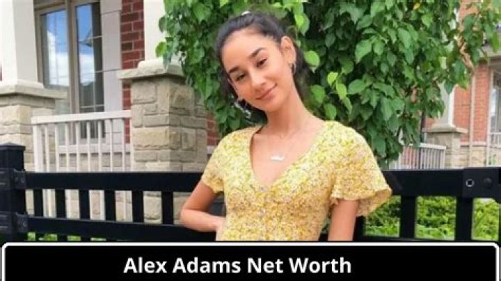
Alex Aravanis
Net Worth
