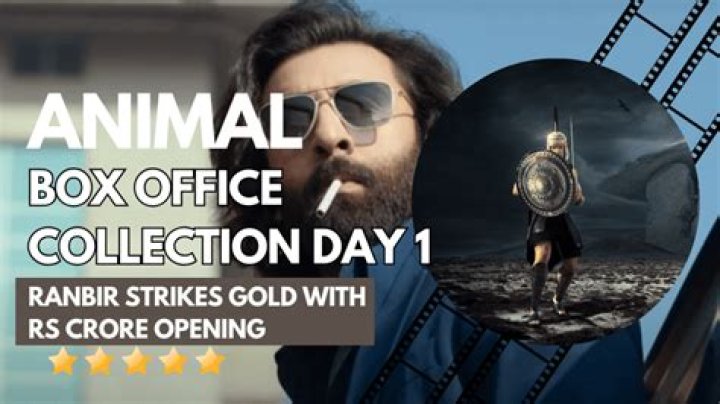 Animal Day 1 Box Office: Ranbir Kapoor's gruesome-drama takes a bumper start; Netts Rs 50 crores in Hindi