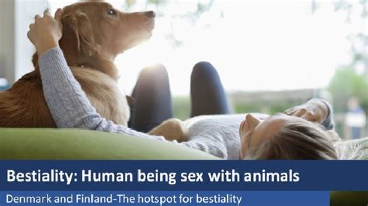 Animal sex fiends 'make vile porno with DOG after news report about bestiality left them desperate to try it'