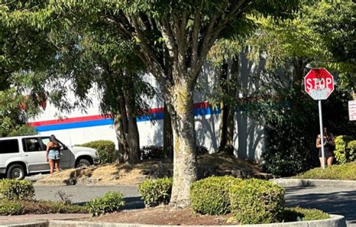 Another harrowing escape puts attention on open prostitution along Seattle’s Aurora Avenue