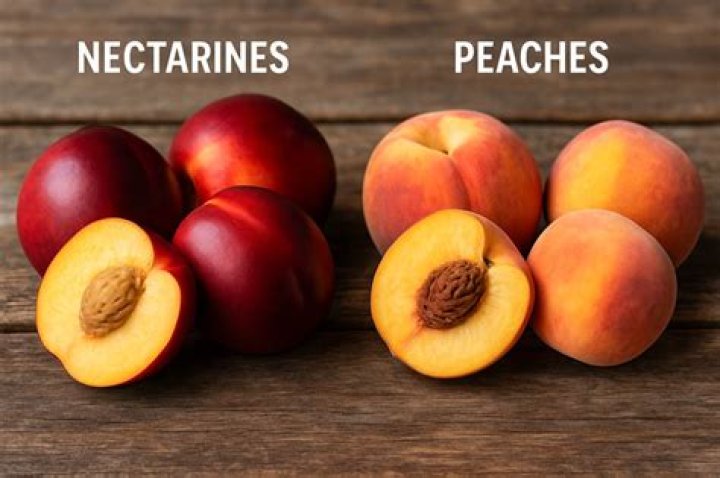 Are nectarines supposed to be hard or soft?
