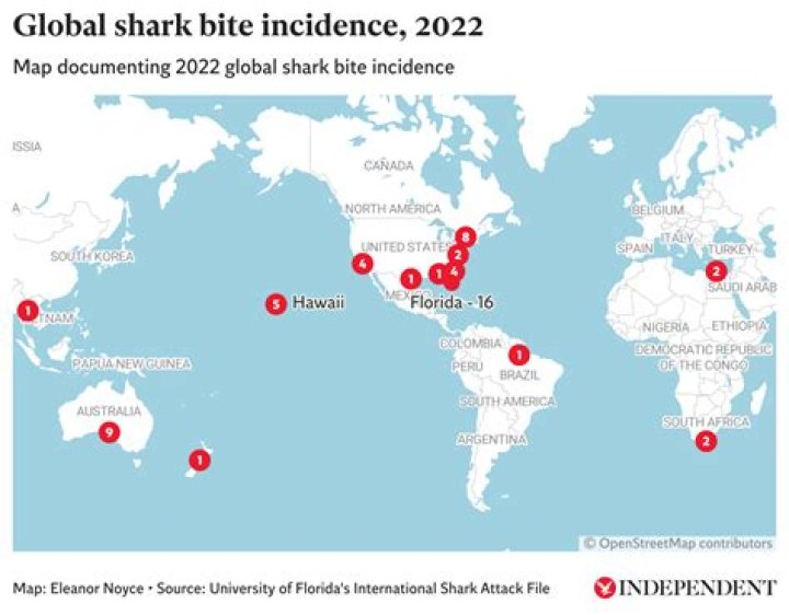 As a THIRD shark attack rocks Majorca, Europe’s most dangerous spots to swim are revealed...and Britain is in second place