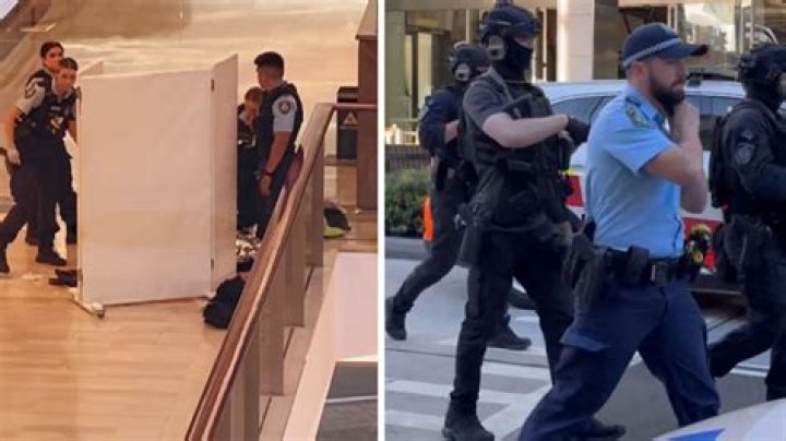 Bar Lucca stabbing today: Chef in police custody after stabbing incident
