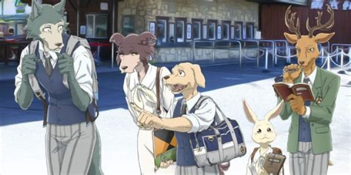 Beastars Creator Announces Marriage With Gorgeous Photo