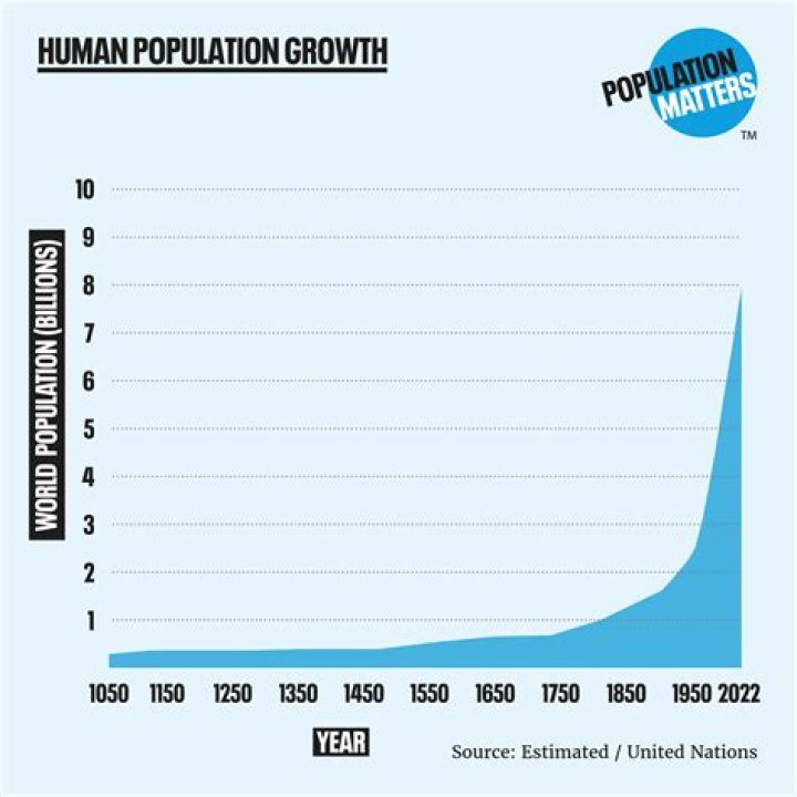 Behind Olivia Munn’s Phenomenal Net Worth Growth up to 2023