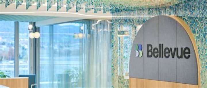 
Bellevue Asset Management, LLC (Bellevue)
