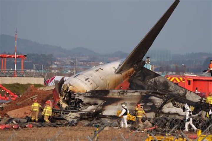 Big Bear Airplane Crash: Who Was Jimmy Fitzpatrick From Paris? Wikipedia And Age