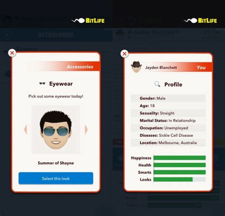 BitLife: How to Own a Cat with High Craziness