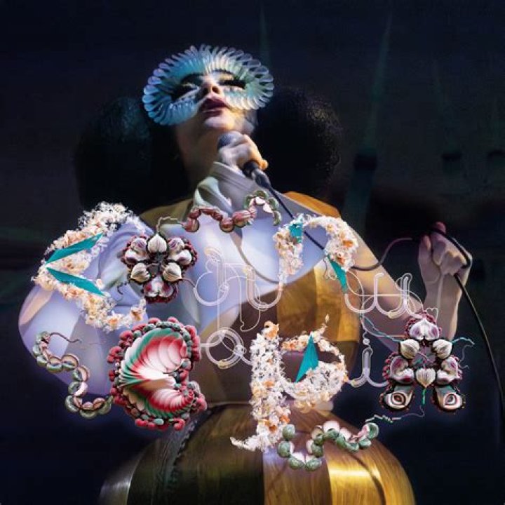 Björk: Biography, Musician, Actor