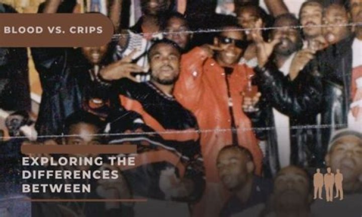 Blood vs. Crips: Exploring the Differences Between