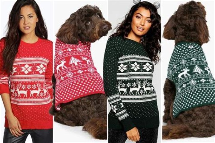Boohoo is selling matching dog and human Christmas jumpers priced from £10