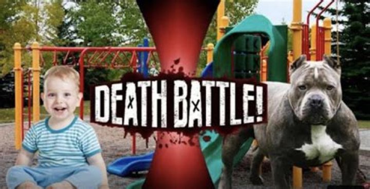 Boy, 10, savaged to death by pitbull as pal yelled 'Help, my dog has killed my friend'