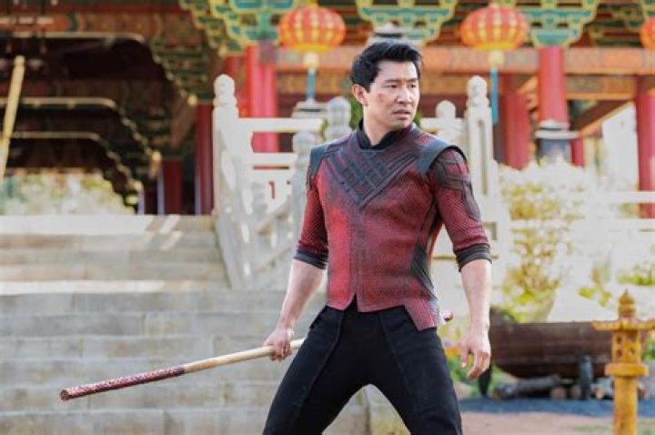 Brad Allan, Shang-Chi Stunt Coordinator And Jackie Chan Stuntman, Dies At 48