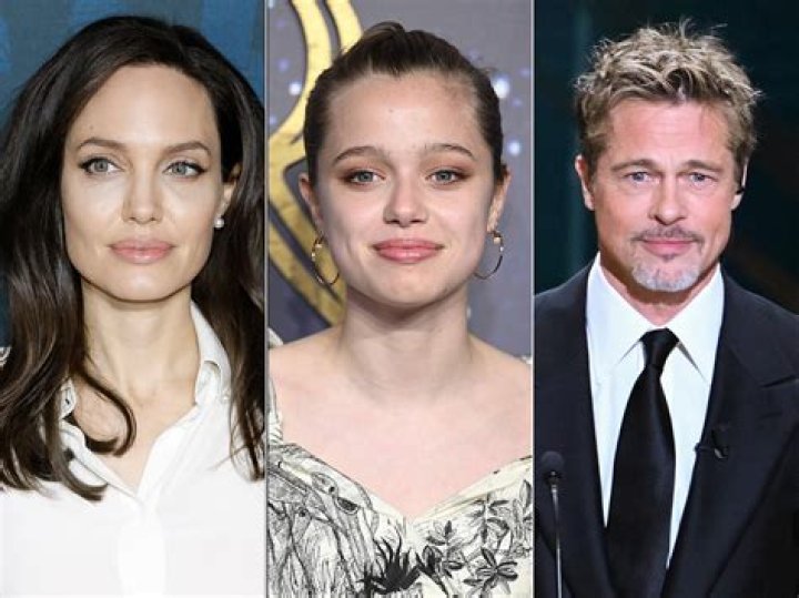 Brad Pitt and Angelina Jolie- A Hollywood Story of Love, Legalities, and the Drama Unfolding