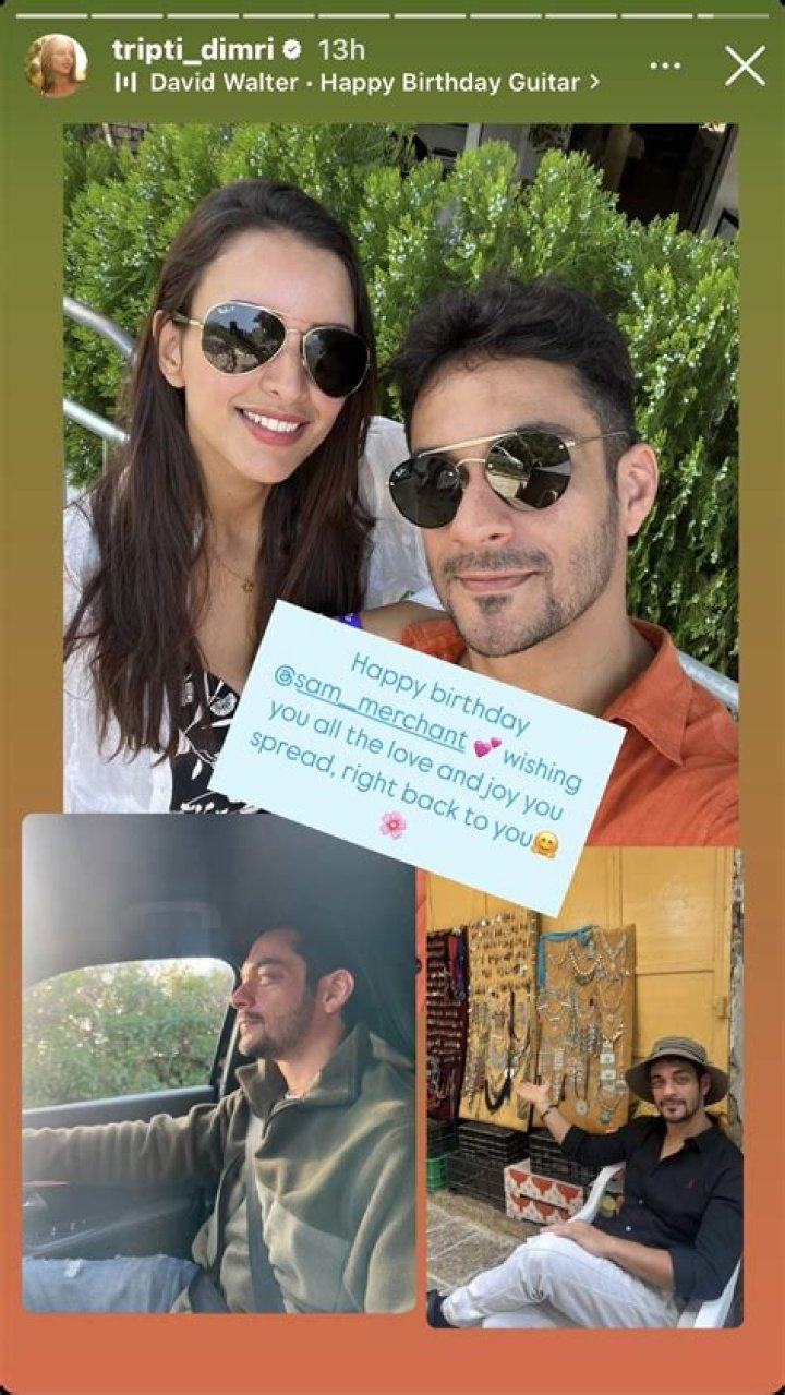 BUZZ: Is something brewing between Tripti Dimri and Sam Merchant? Here's everything you need to know about him