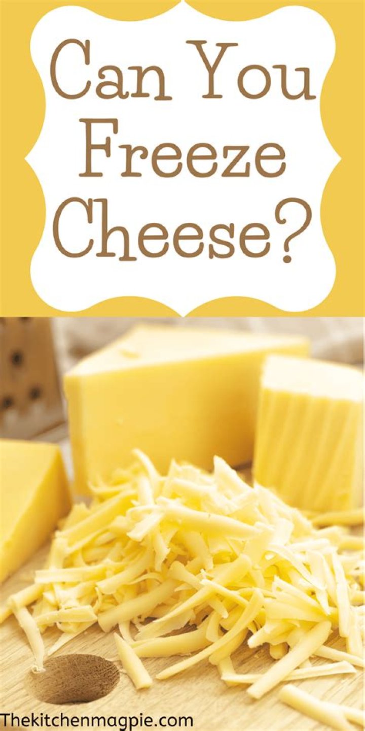 Can You Freeze Cheese? You Might Be Surprised