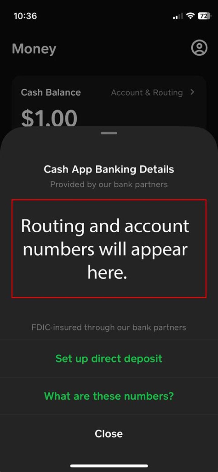 Cash App Bank: What Bank Name Is Cash App? [Complete Info.]