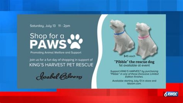 Celebrate the howlidays with King’s Harvest Pet Rescue