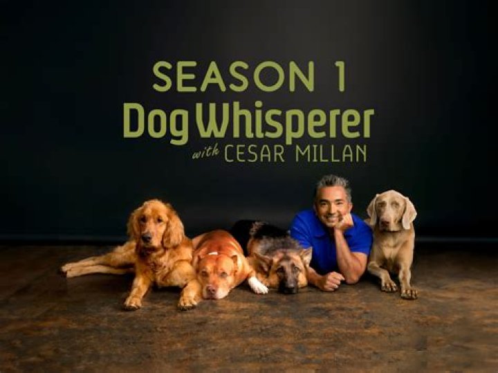 Cesar Millan Dog Psychology Center Trains More than 50K Dogs