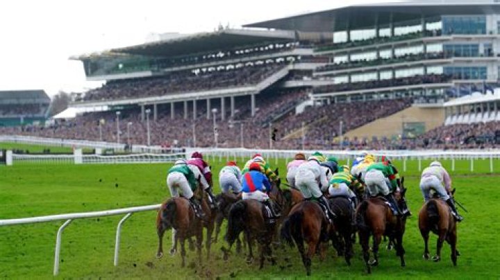 Cheltenham Festival- Evan Williams' Clyne will not head to Cheltenham in March and could make Aintree instead