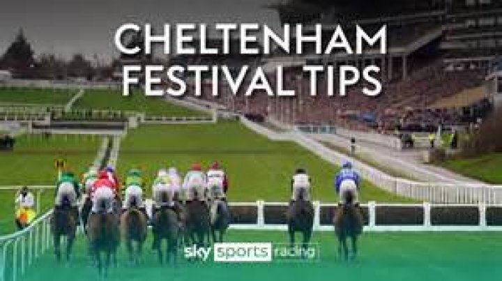 Cheltenham Festival tips: Supreme Novices' Hurdle trends - we help you find the winner of the race live on ITV at 1.30pm