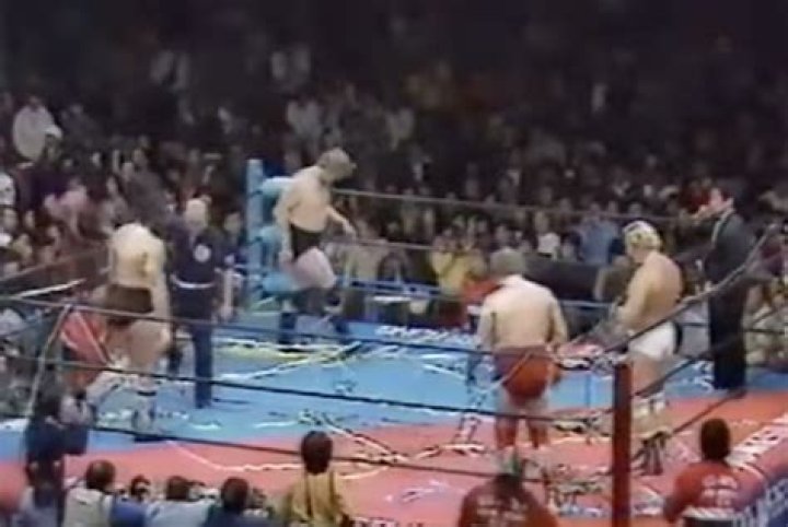 Chicago Region, First Round: (17) Funk Brothers vs. (48)Stan Hansen and Bruiser Brody
