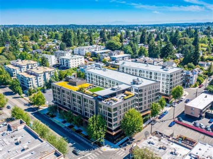 
Claraphi, LLC (Seattle)
